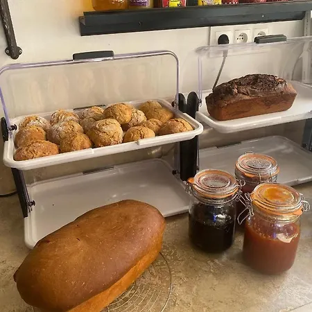 Manoir D'amaury - D'hotes Отель типа 